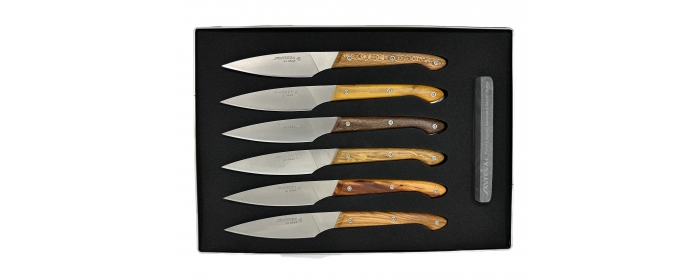 Knives set of table knives Ariégeois (several woods)