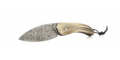 Le cathare folding knife with blon horn handle