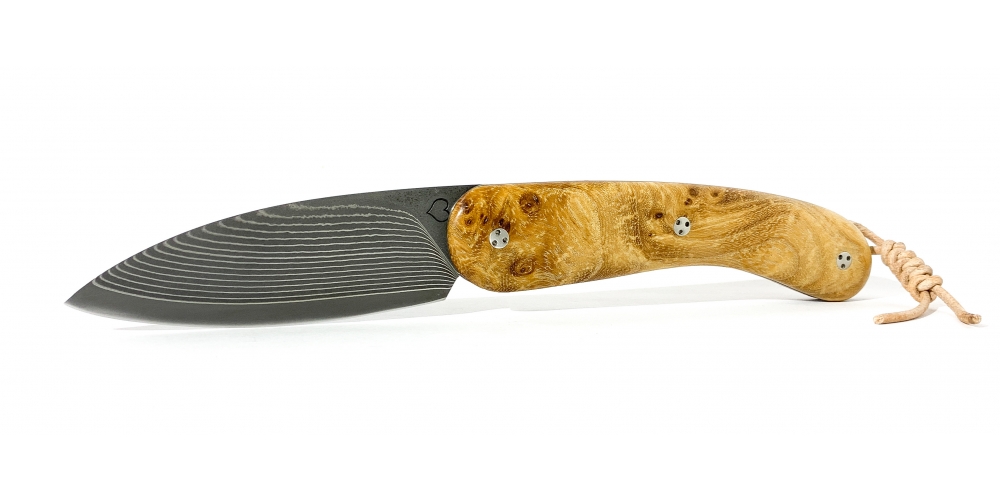 Le cathare folding knife with elm burl handle