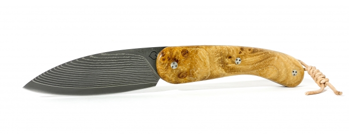 Le cathare folding knife with elm burl handle